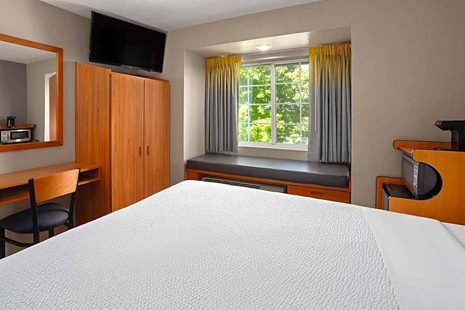 Microtel Inn & Suites By Wyndham Ann Arbor