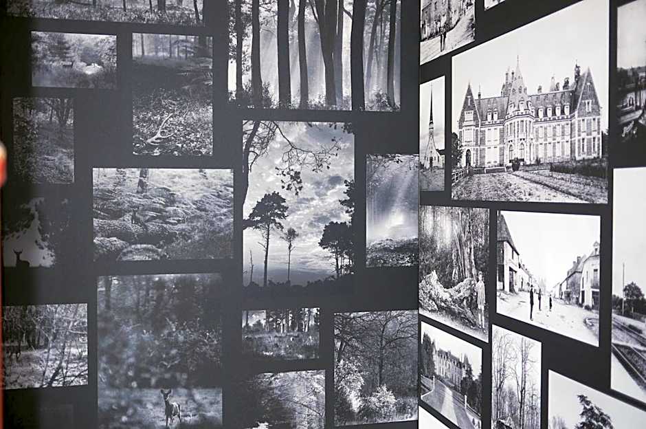Logis Auberge De La Foret