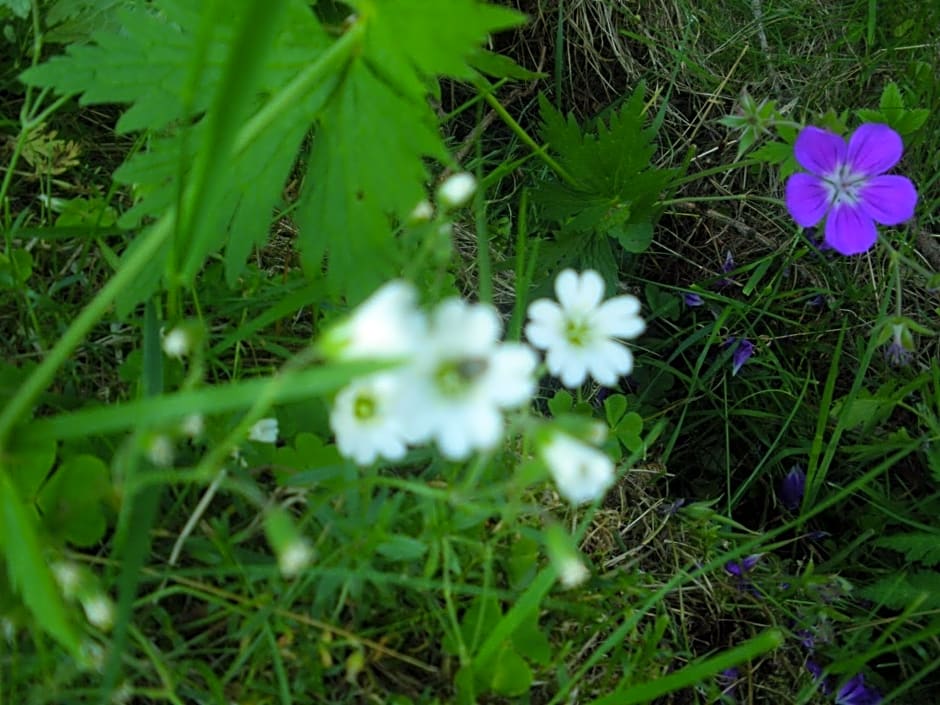Le Temps d'une Pause