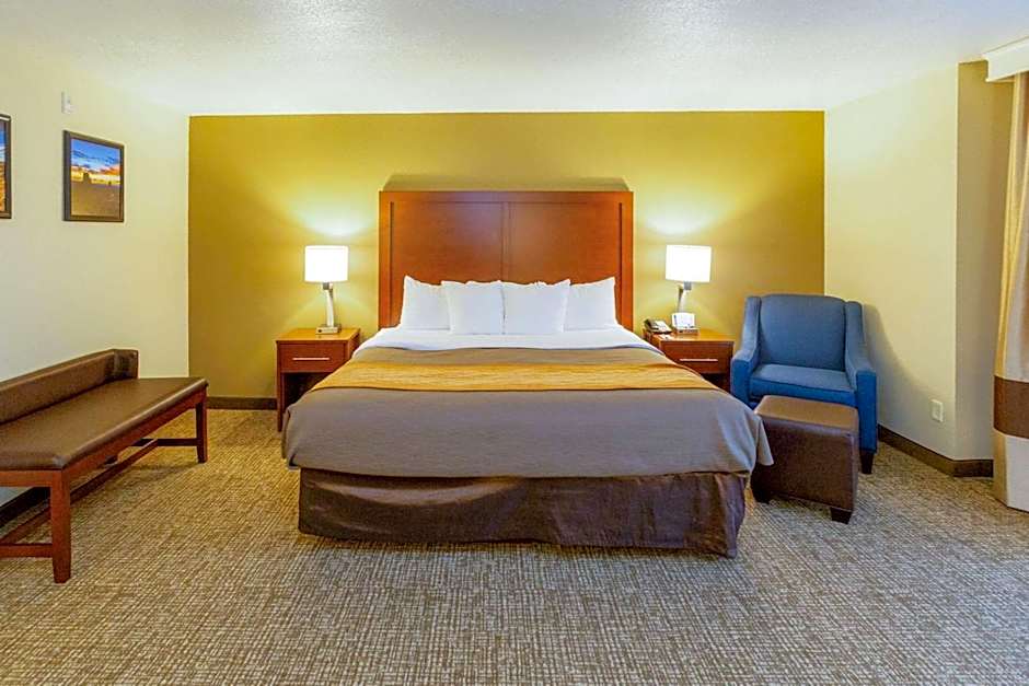 Comfort Inn Salt Lake City Downtown