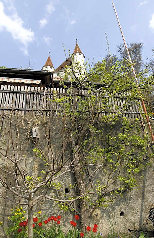 Hotel Restaurant Schwert Thun