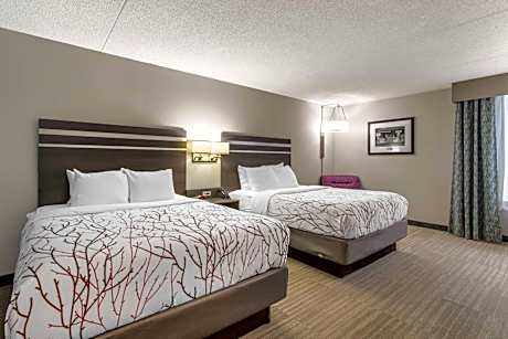 Large Queen Room with Two Queen Beds - Non-Smoking