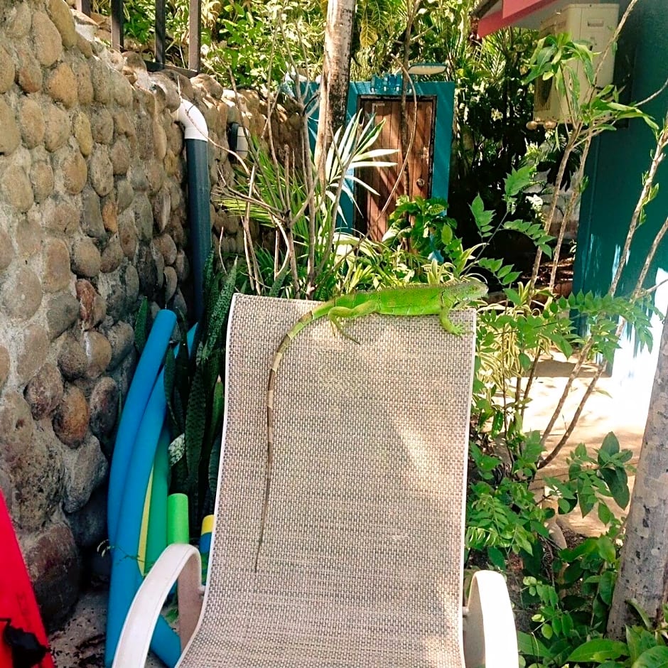 Hotel Tamarindo Village