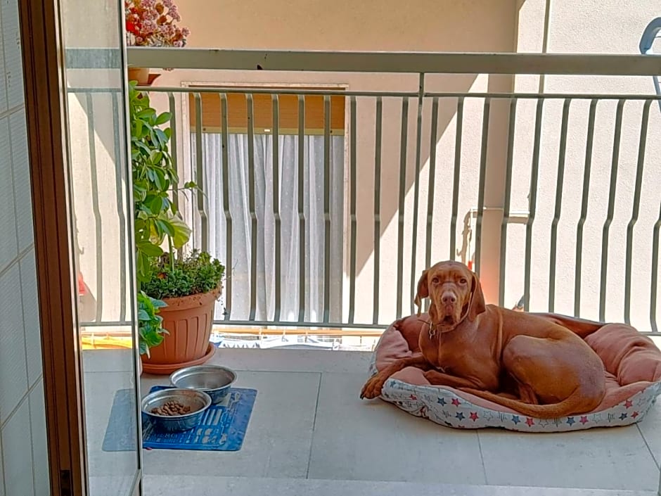 B&B familiare Arcadia Polignano