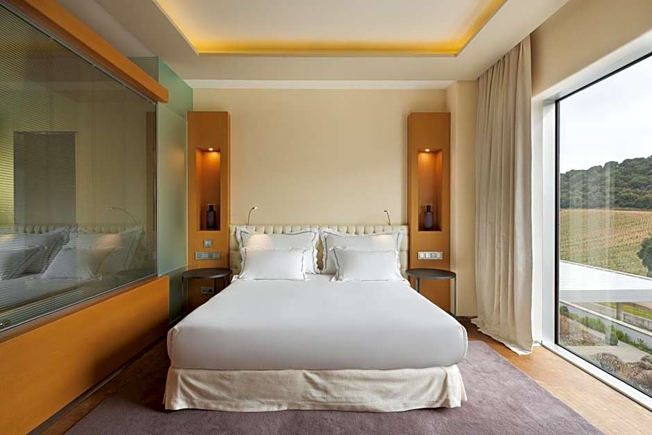 Valbusenda Hotel Bodega & Spa