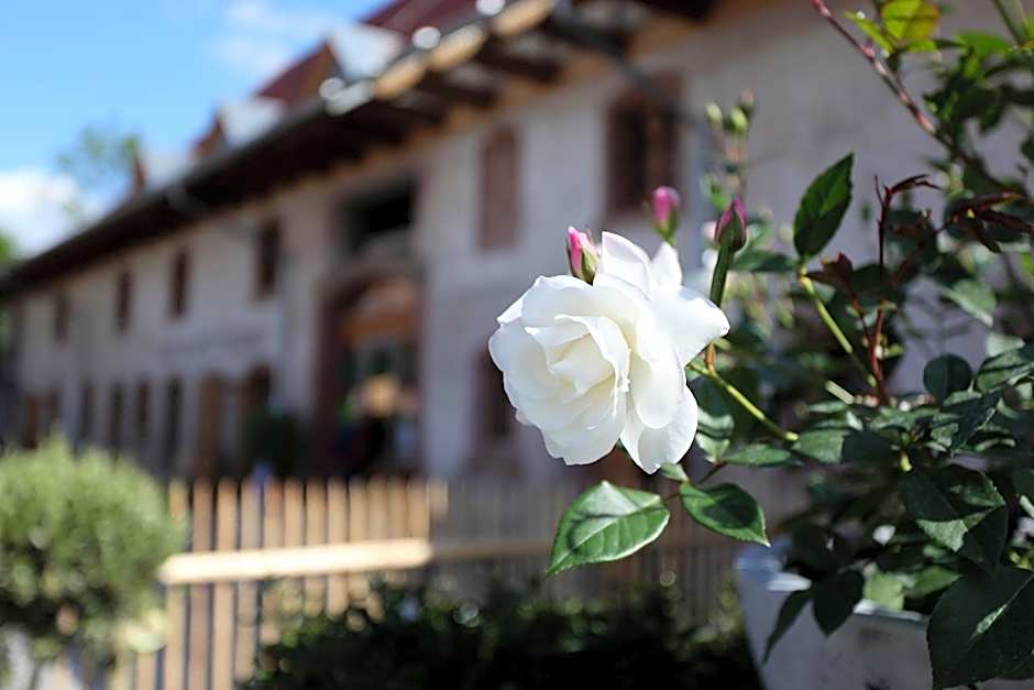 hotel rainhof scheune & naturpark restaurant (Kirchzarten)