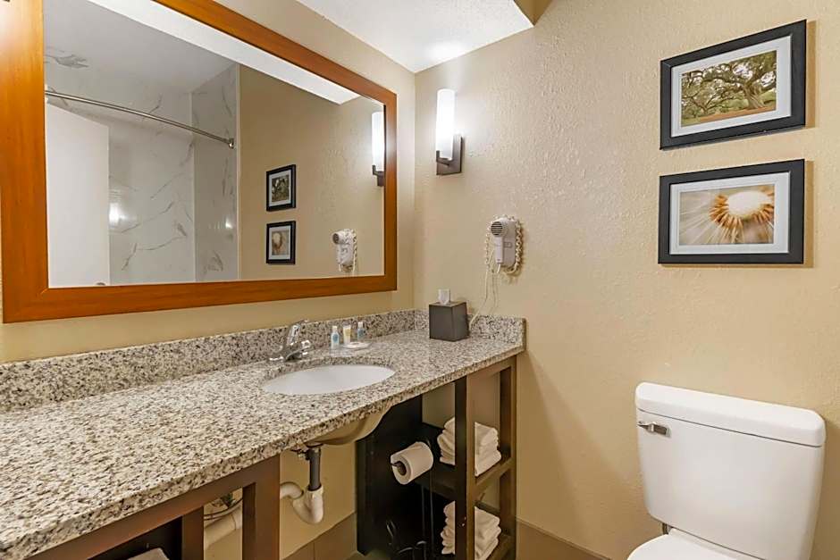 Comfort Suites At The University