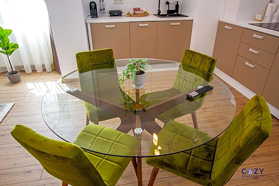 Unique and Cozy ApartHotel in Brasov