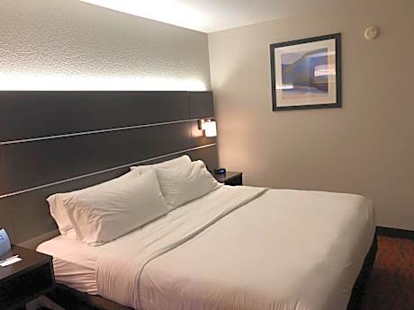 1 King Bed Suite Jetted Tub
