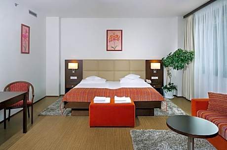 Deluxe One-Bedroom Apartment