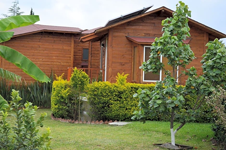 Villarreal Lodge Hotel Ecológico