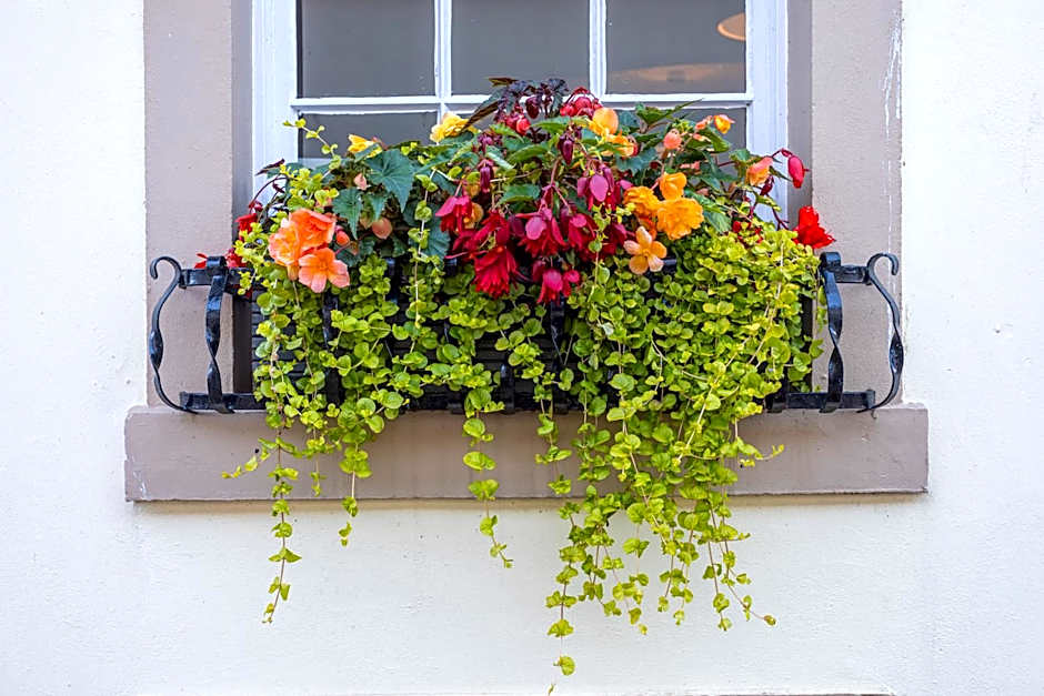 Georgian House Hotel