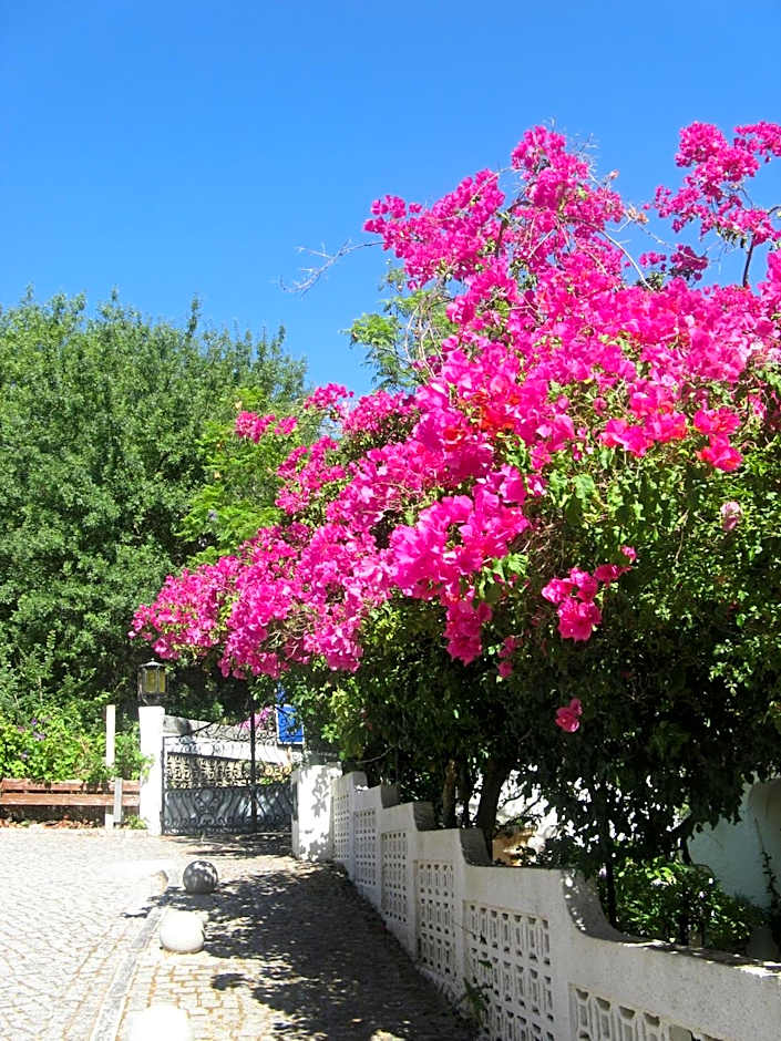 Albergaria do Lageado