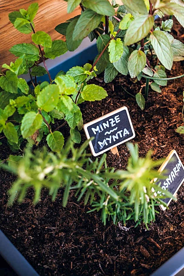 Hotel Sportalm - Adults Only Boutique Hotel