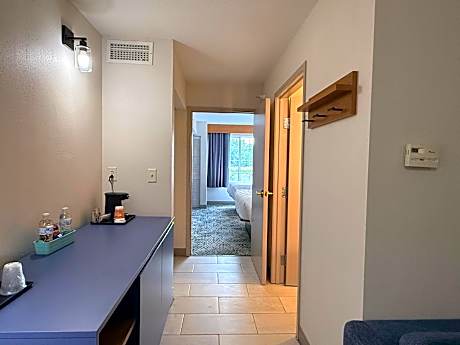 1 King Bed, Suite, Nonsmoking