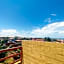 SeoMarujo Hostel rent a room Morro Branco