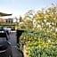 Near Templo Mayor Smart Tv Rooftop