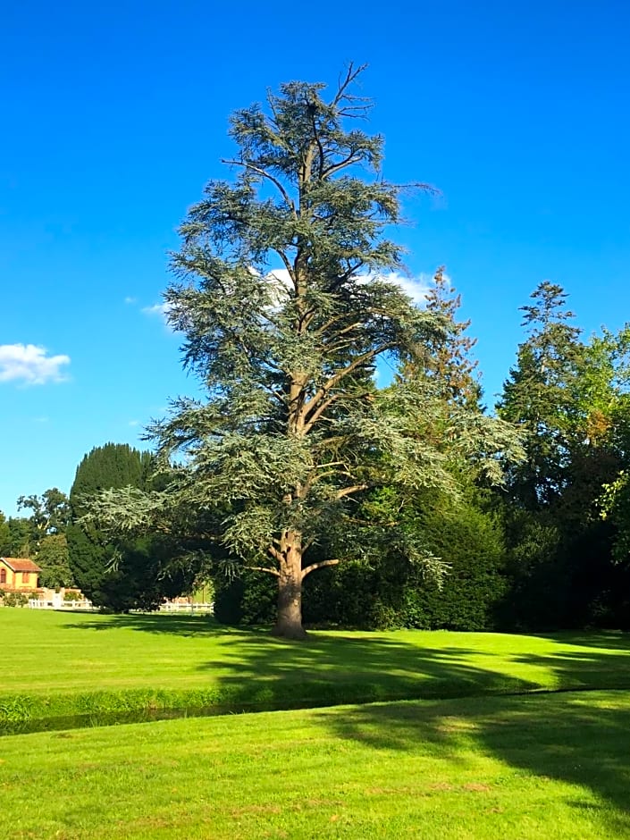 Le Manoir de B¿dicte B&B