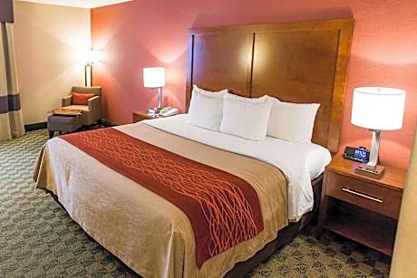 1 King Bed, Nonsmoking