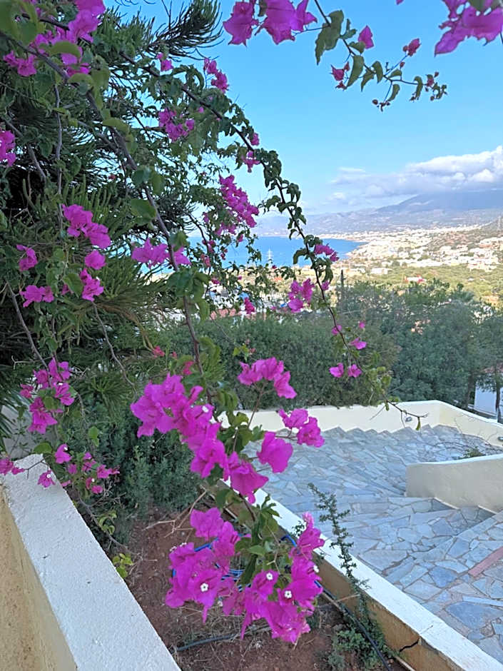 Blue Horizon Apartments