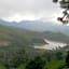 Neelakurunji Plantation Munnar