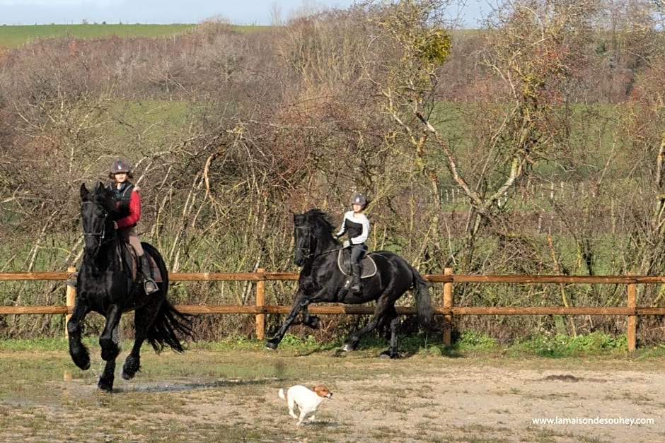 La Maison de Souhey