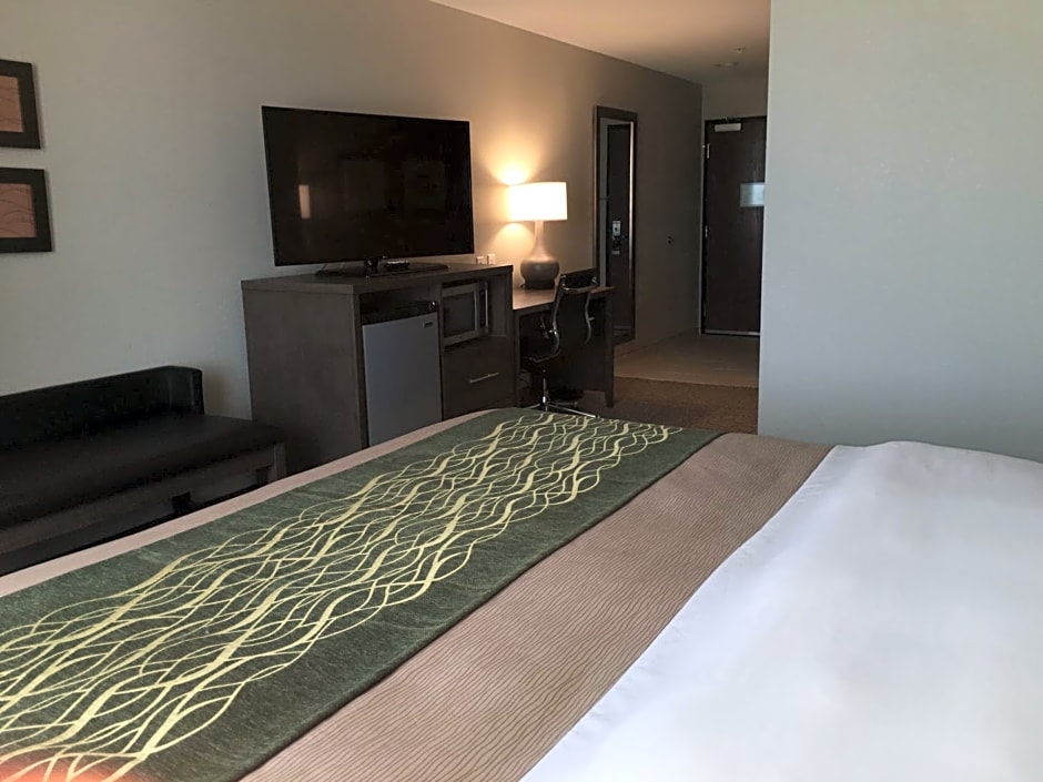 Comfort Inn & Suites Snyder