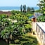 Birdcage B&B