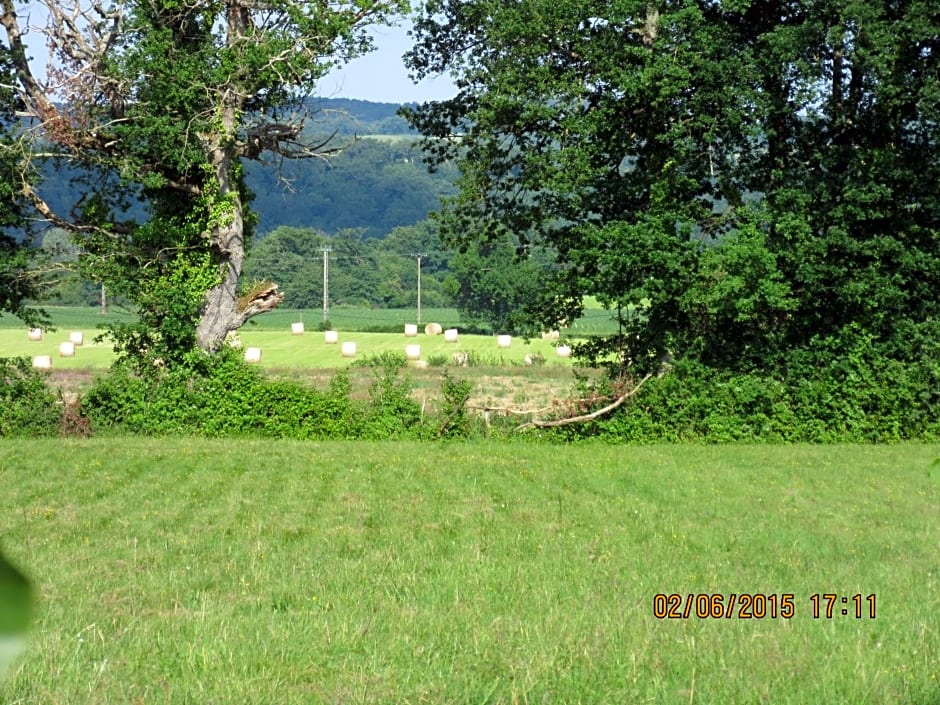 Domaine Le Chec