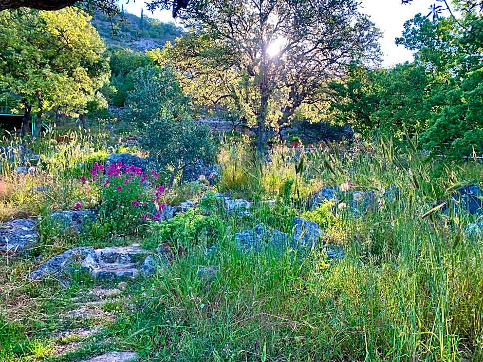 Bio Guesthouse Mani Sonnenlink