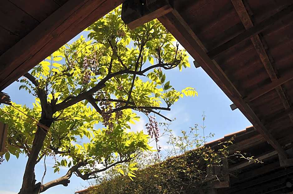 B&B Il Mandorleto Avola