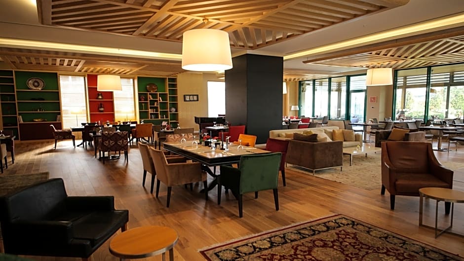 Holiday Inn Istanbul Airport Hotel Turkey Area Information