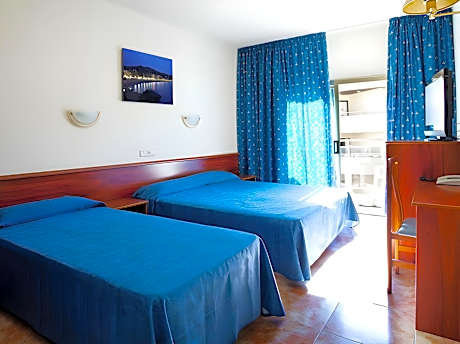 Double or Twin Room (3 Adults)