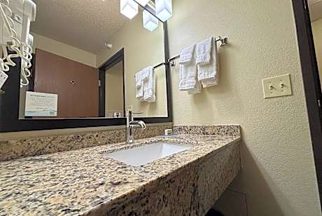 1 King Bed Studio Suite Non-Smoking