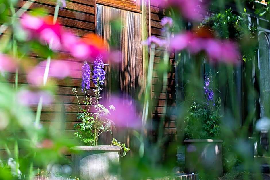 Beeltjens B&B: Wolf&Belle