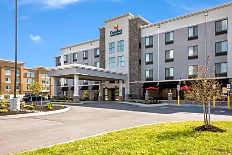Comfort Inn & Suites Niagara Falls Blvd USA
