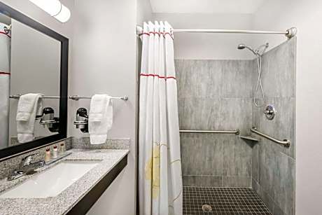 1 King Bed Non-Smoking