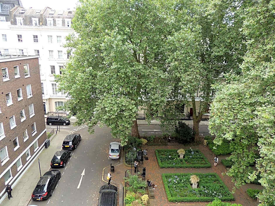 Dolphin Inn - The Lodge