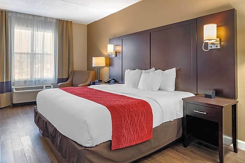 Comfort Inn & Suites Lithia Springs