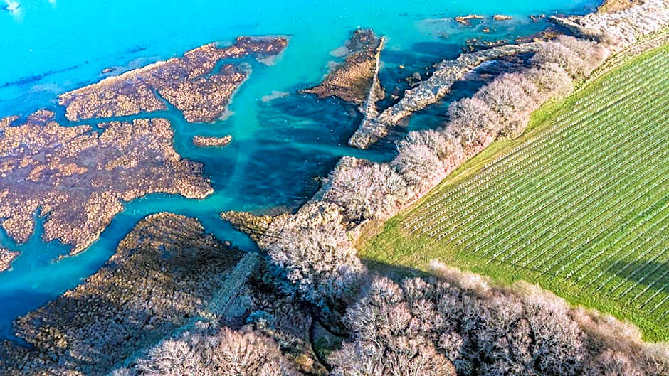 Pinkmead Estate and Vineyard