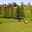 Le Vallon de Saint André