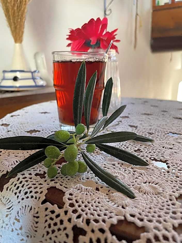 ARİSTONİCUS BUTİK HOTEL