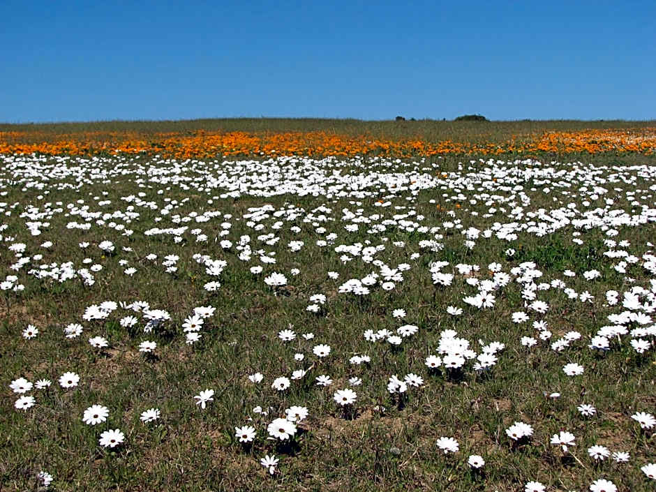 Thali Thali Game Lodge