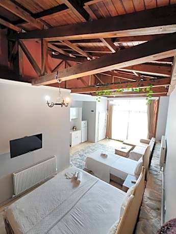 Standard Villa