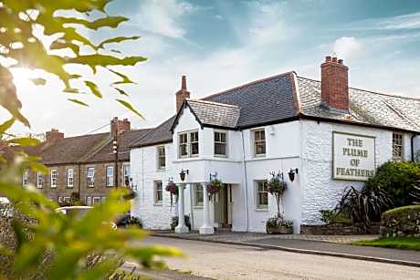 The Plume of Feathers