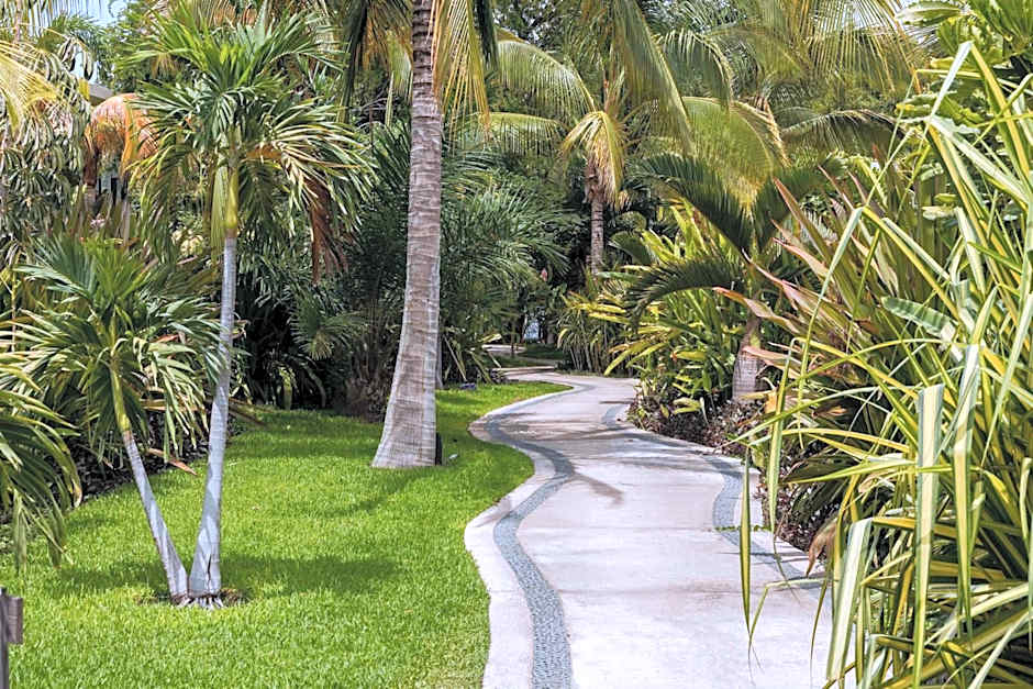 Soul Spring Sanctuary Cuernavaca