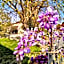 B&B La Bugia di Villa Tanzi