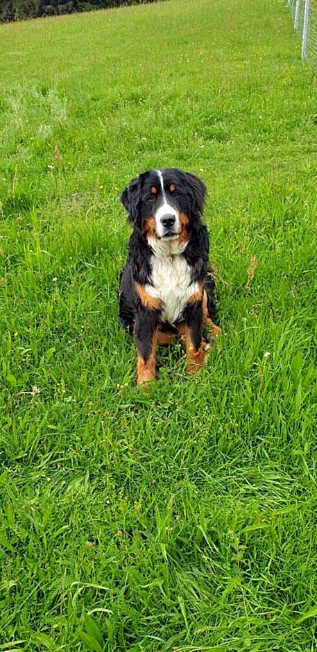 Biohof Obereibensteiner