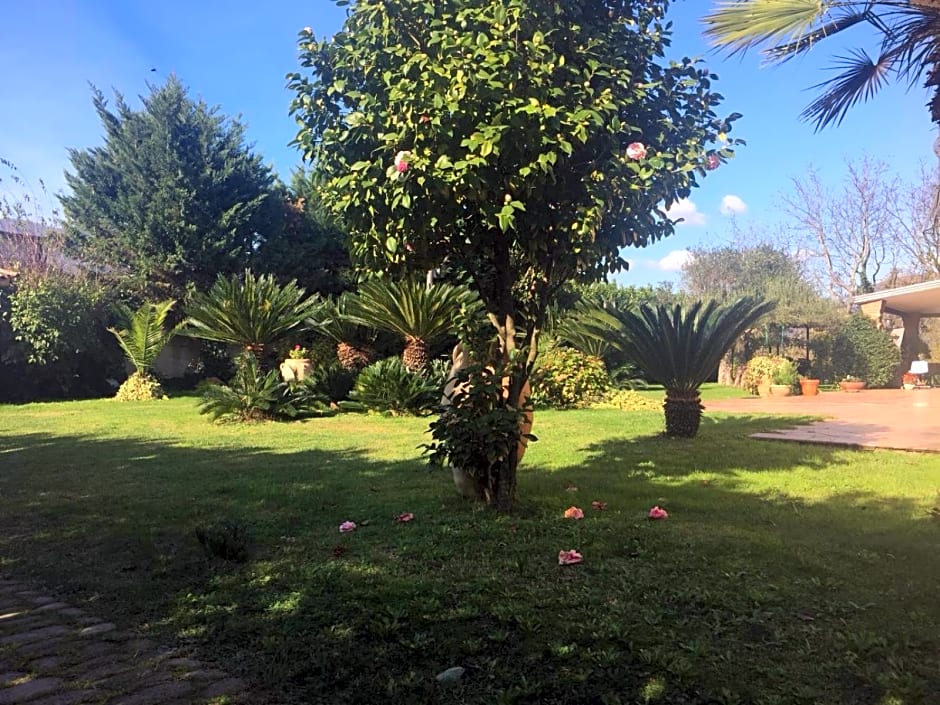 Villa Luisa – Montoro Inferiore, WY
