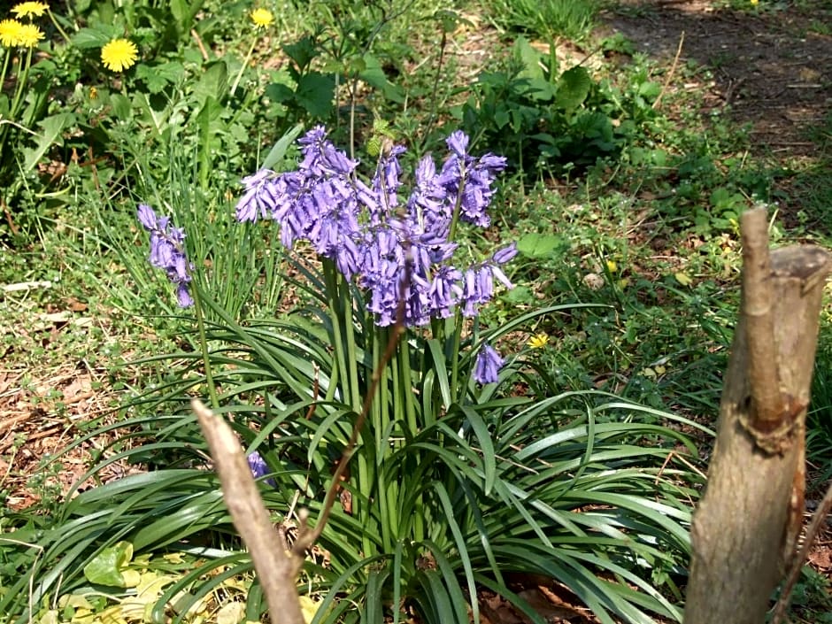 Chambres d'hôtes La Tribu